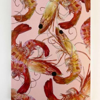 Product Prawn Notebook