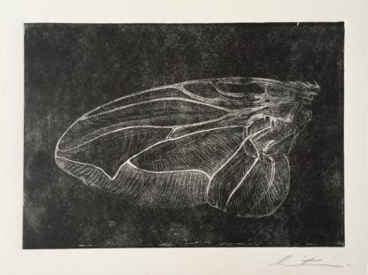 Hand Original Relief Printed Fly Wing Copperplate
